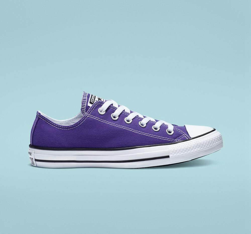 Pánské Nízké Converse Chuck Taylor All Star Classic Unisex Fialové | 135286YQH