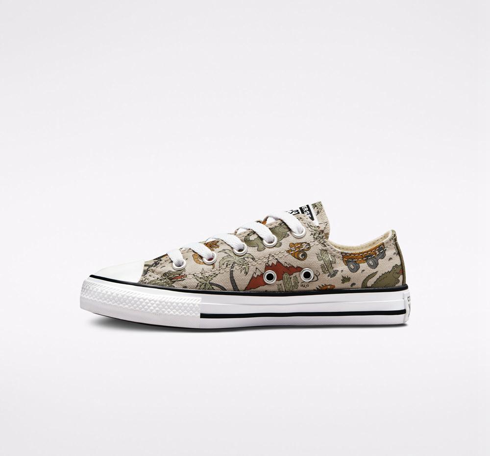 Chlapecké Nízké Converse Chuck Taylor All Star Desert Explorer Little Kids Viacfarebný | 143257KDS