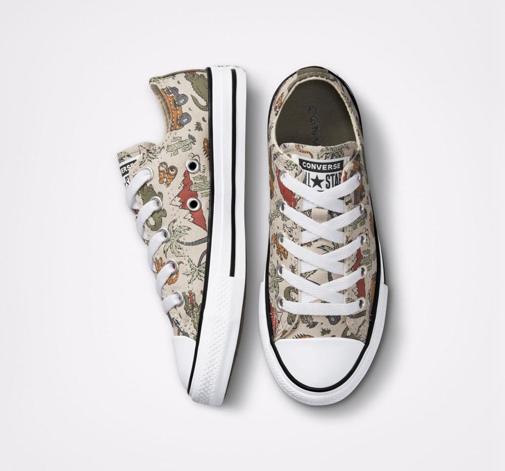 Chlapecké Nízké Converse Chuck Taylor All Star Desert Explorer Little Kids Viacfarebný | 143257KDS