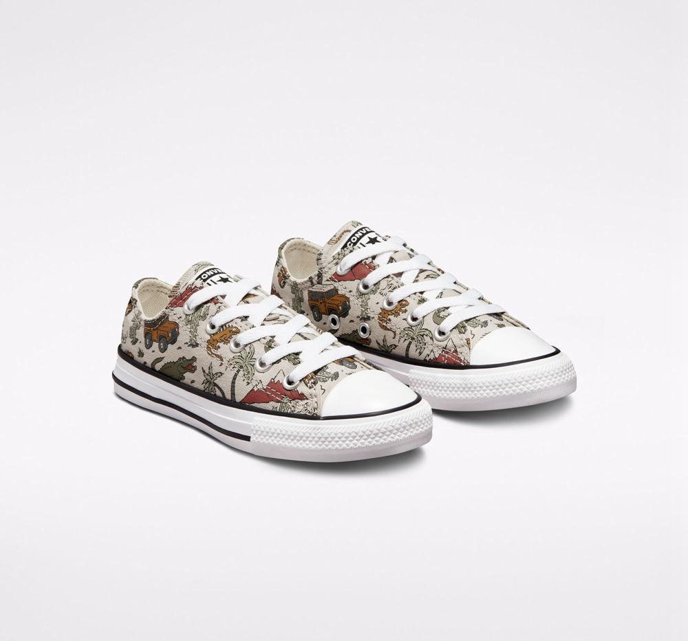 Chlapecké Nízké Converse Chuck Taylor All Star Desert Explorer Little Kids Viacfarebný | 143257KDS