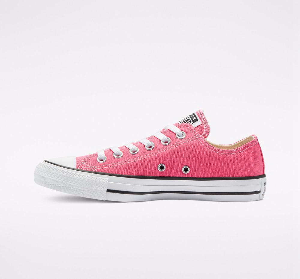 Dámské Nízké Converse Chuck Taylor All Star Seasonal Color Unisex Růžové | 071386AWH