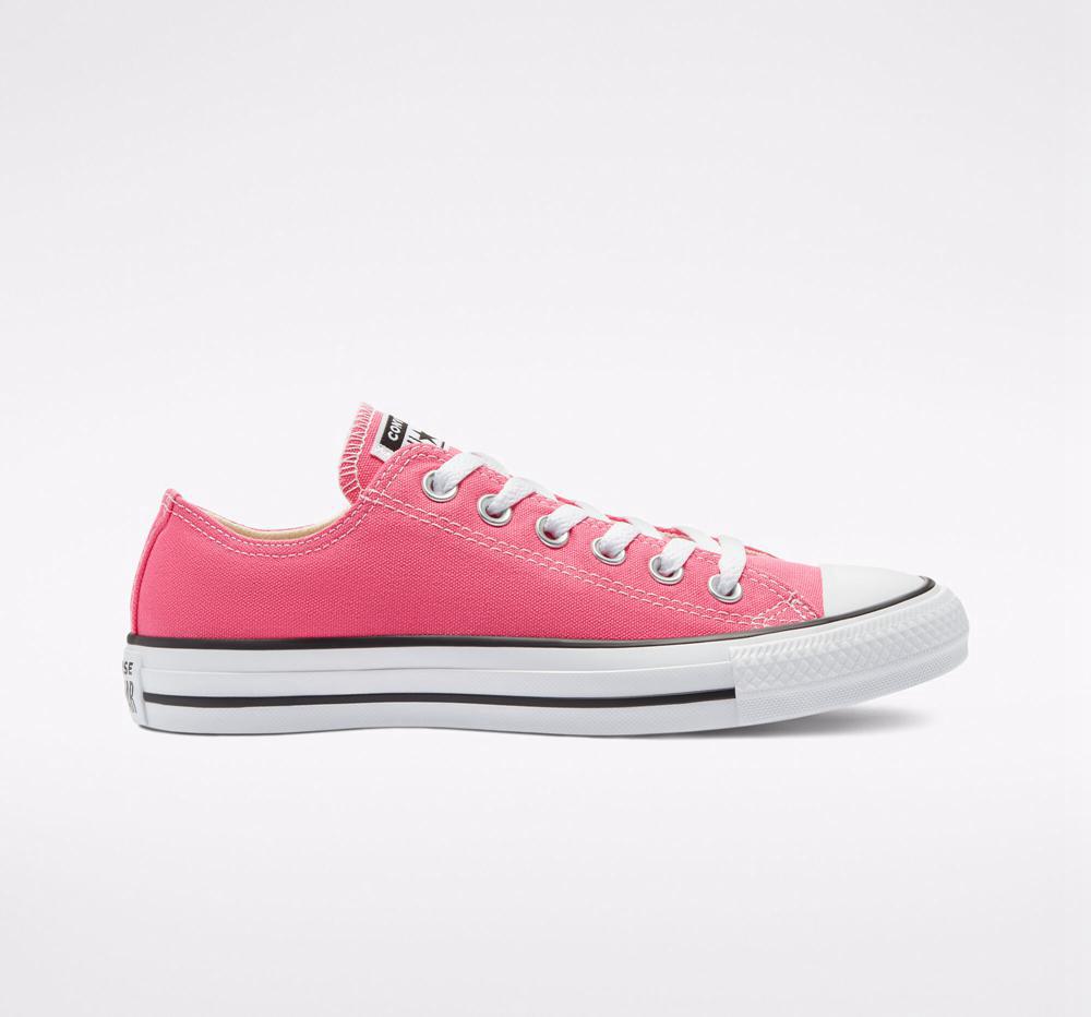 Dámské Nízké Converse Chuck Taylor All Star Seasonal Color Unisex Růžové | 071386AWH