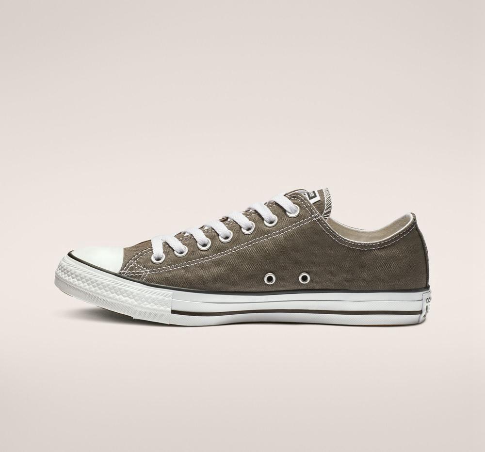 Dámské Nízké Converse Chuck Taylor All Star Classic Unisex Šedé | 945738IWC