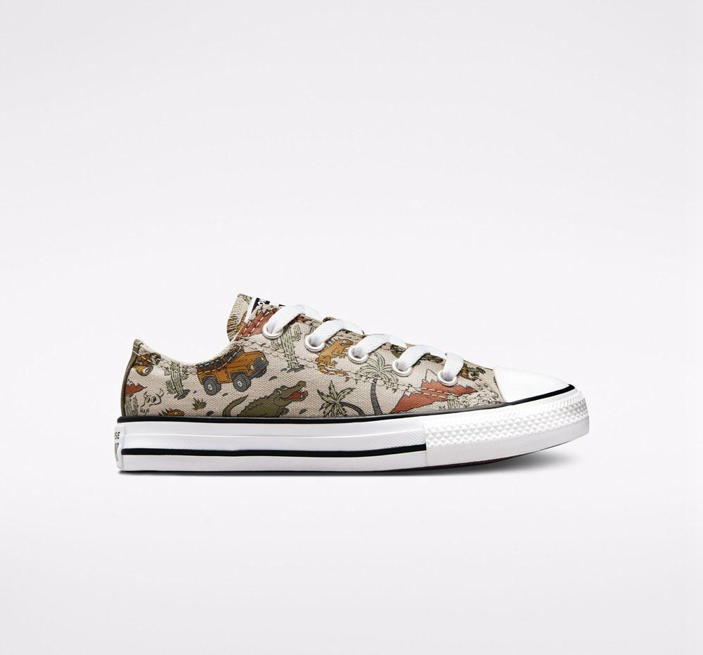 Dívčí Nízké Converse Chuck Taylor All Star Desert Explorer Little Kids Viacfarebný | 210935WOM