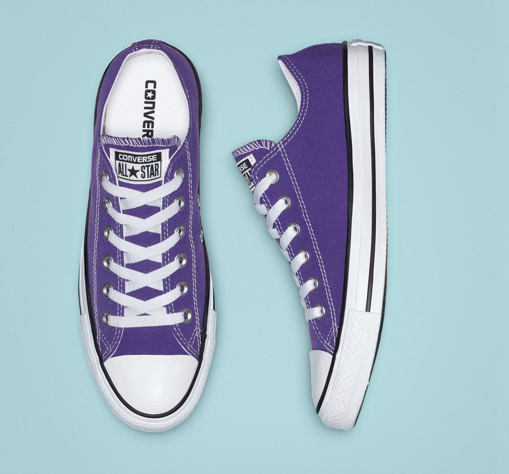 Pánské Nízké Converse Chuck Taylor All Star Classic Unisex Fialové | 135286YQH